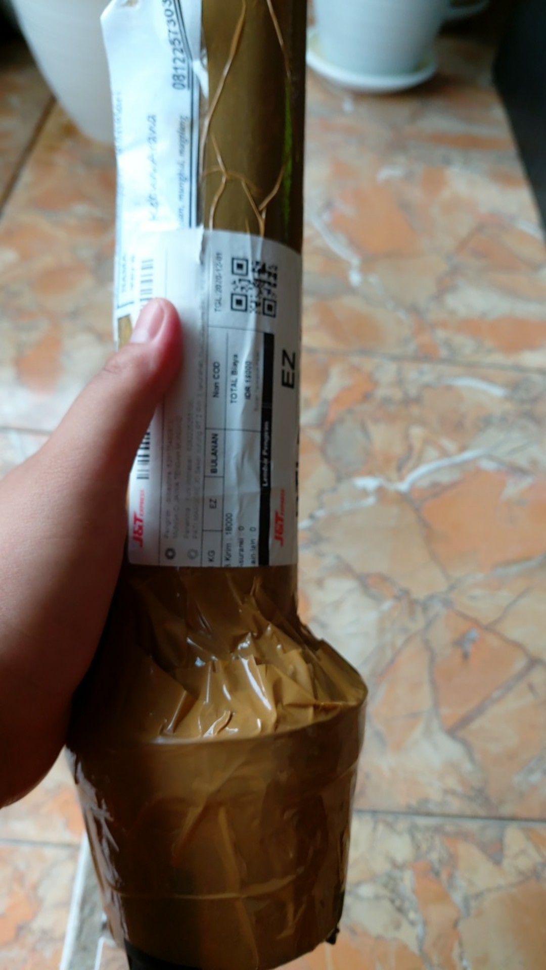 Aglonema Dut Anjamani