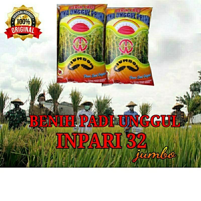 BENIH PADI UNGGUL INPARI 32 JUMBO BERSERTIFIKAT LABEL UNGU | 5 kg