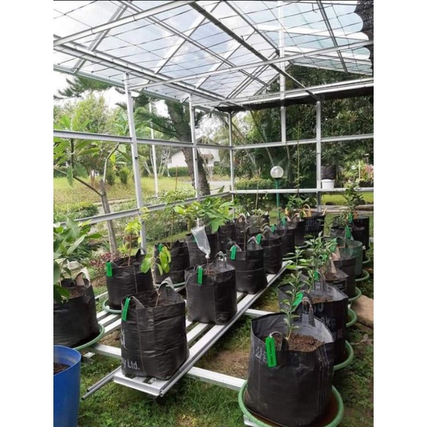 Planter bag 150 liter pot tanaman (60X60)