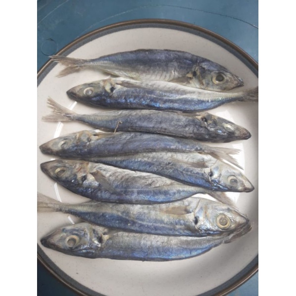 

IKAN SEHAT, IKAN ASIN PEDA BERGIZI - 1KG