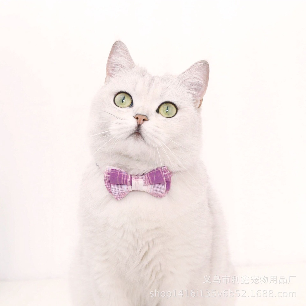 Kalung Kucing Kalung Anjing Kalung Kelinci Kalung Adjustable Bowknot Lonceng Cat Collar Dog Collar