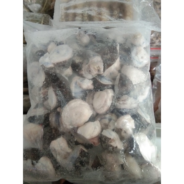 

Frozen kepala gurita