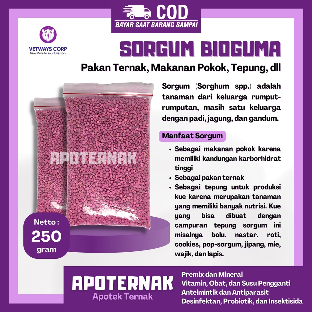 BIJI SORGUM BIOGUMA PUTIH SUPER 250 g | Bibit Pakan Ternak, Makanan Pokok, Tepung | Apoternak