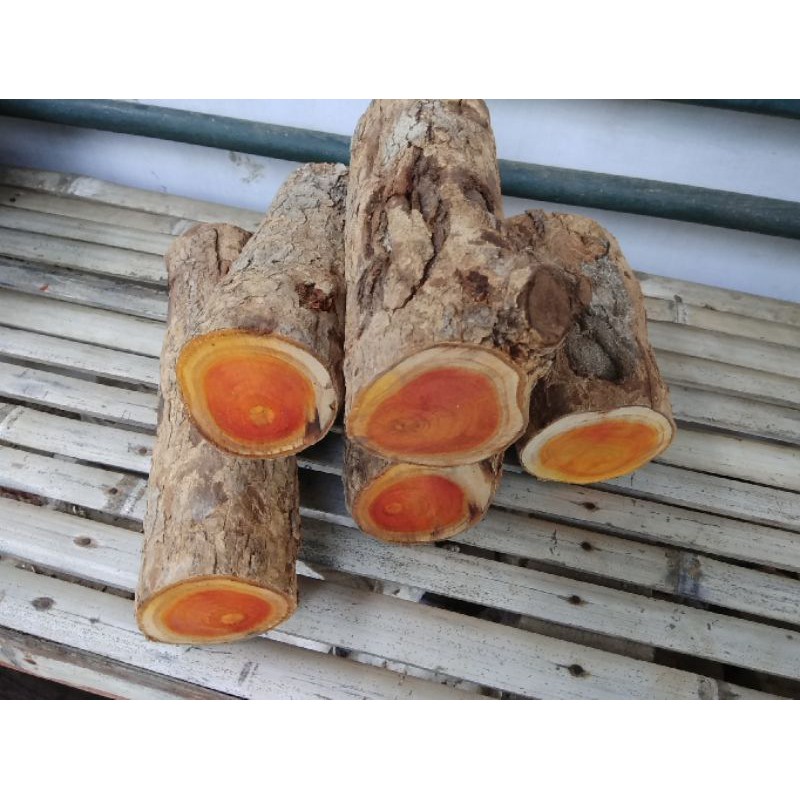 

BAHAN KAYU SECANG BRAHMA