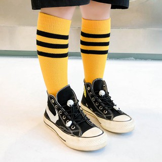  Kaos  Kaki  Tinggi Gaya Korea  Bahan Mesh Tipis Untuk Anak 