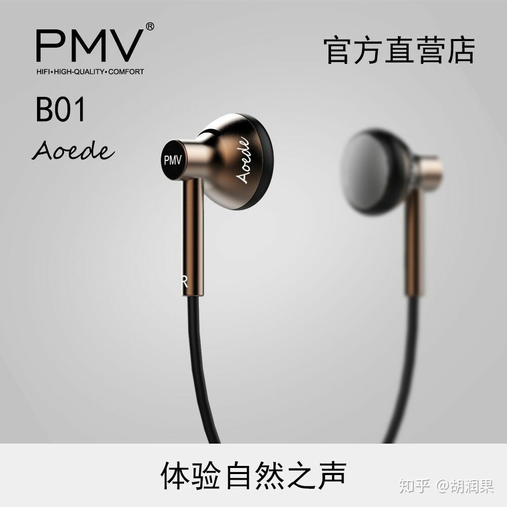 Headset Smule Zoom Earphone Vokal Jernih PMV B01 Aoede Housing Metal Headset ASMR