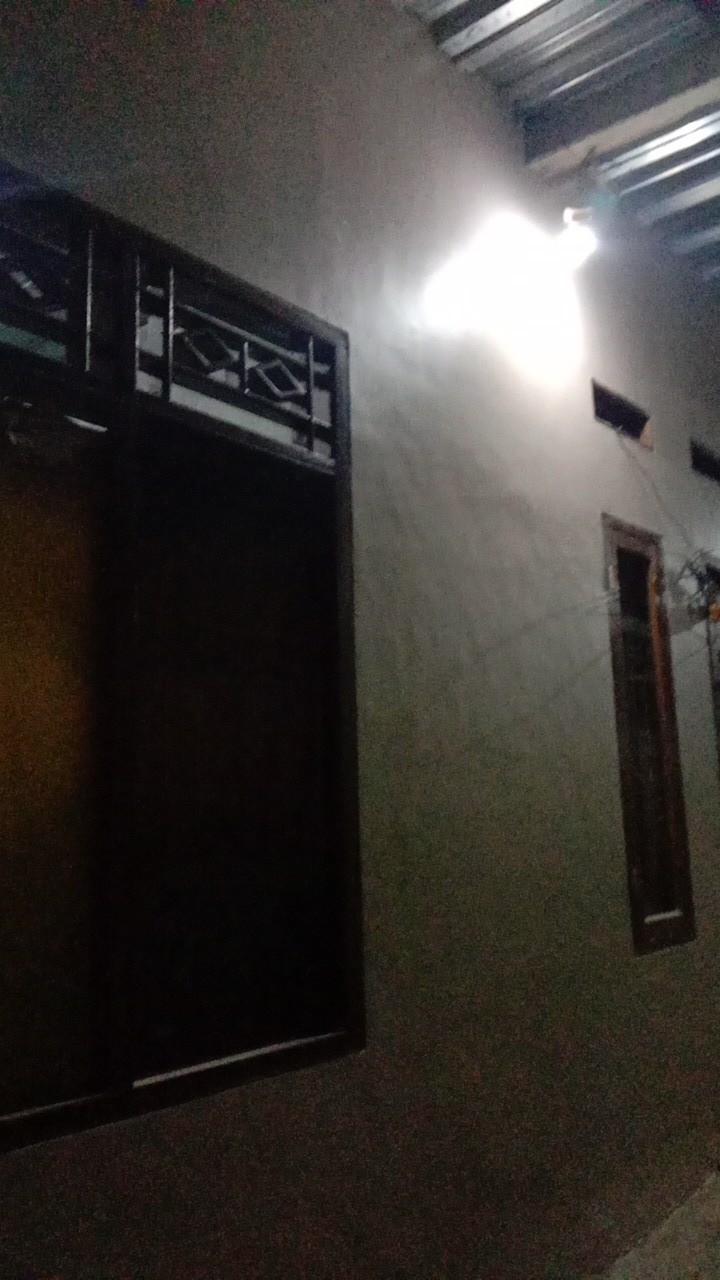 Cat Tembok Vinilex Bunga 5kg Nippon Paint Cat Interior Dinding