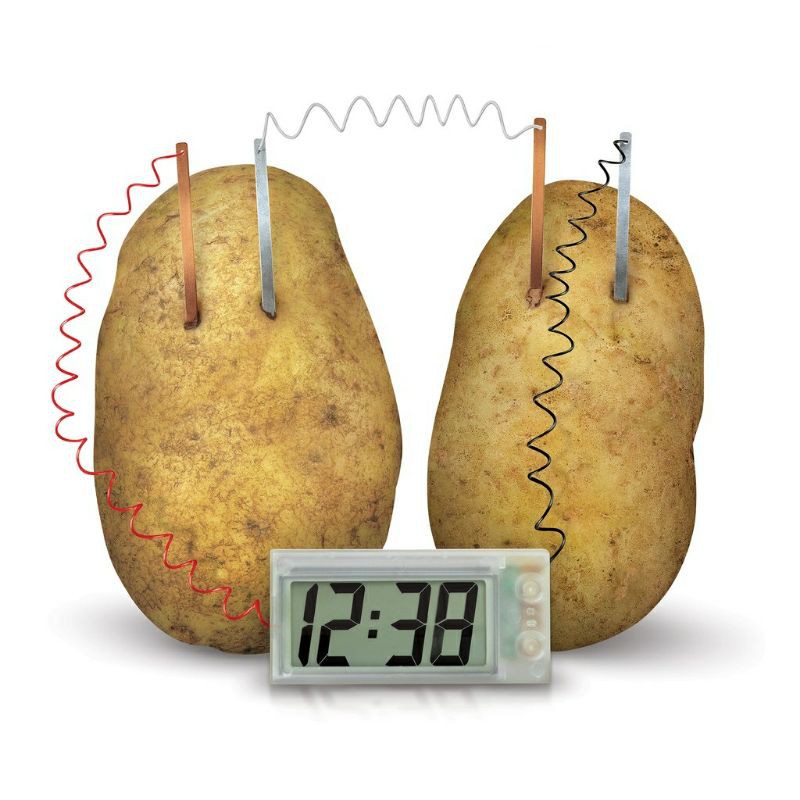 4M Green Science Potato Clock - Mainan Edukasi