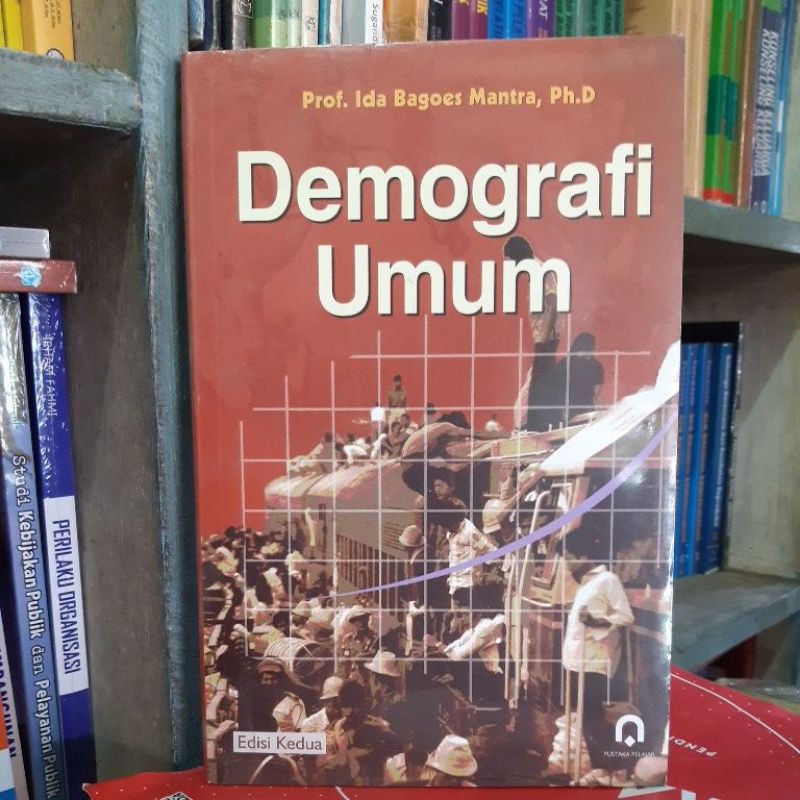 DEMOGRAFI UMUM