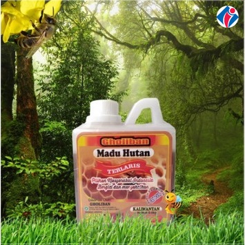 

MADU HUTAN KALIMANTAN GHOLIBAN 500GRAM ASLI