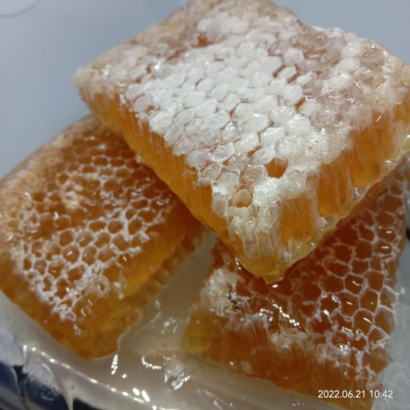

Madu Sarang Lebah Asli Melifera / Madu pesisir Asli Plus Sarang