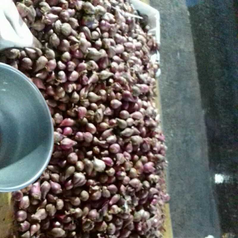 

Bawang Merah Asli Brebes 1 kg