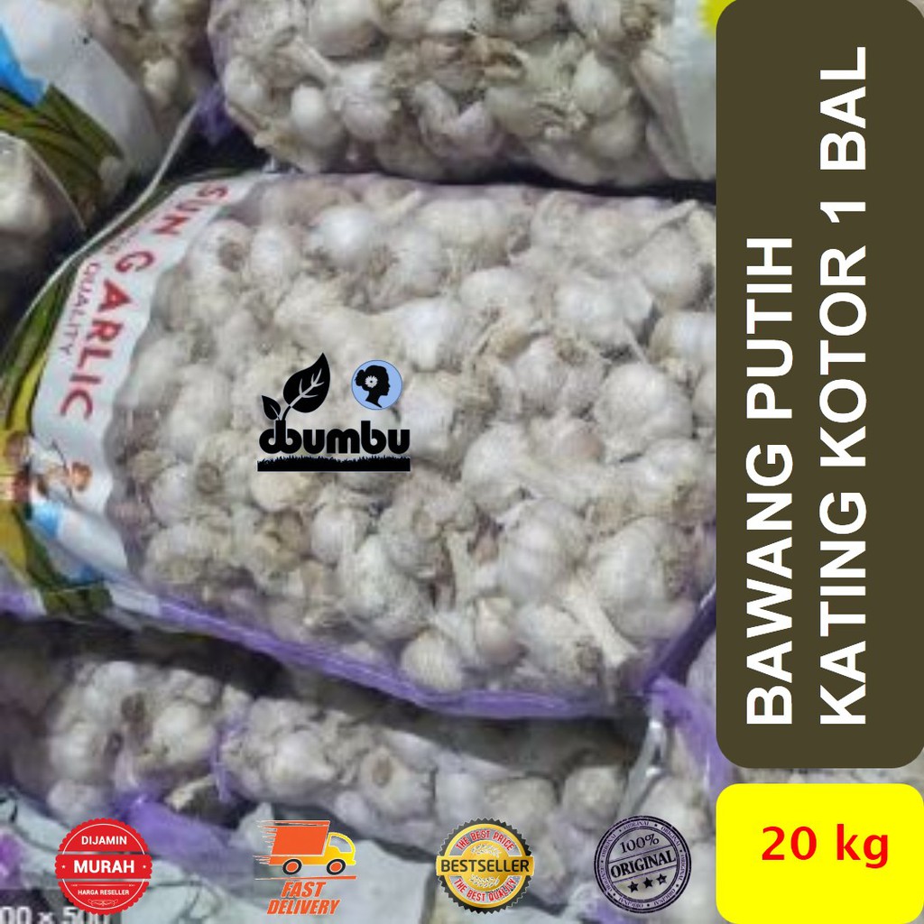 

Bawang Putih Kating Kotor kemasan bal 20 kg