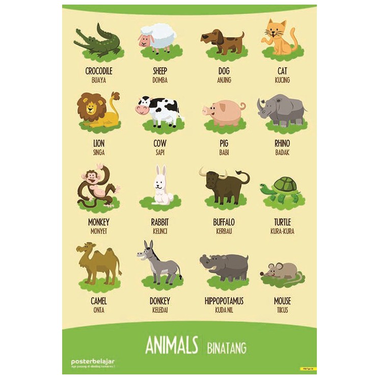 Poster Hewan Edukasi Anak Balita Paud Tk Mainan Posbel Gambar Binatang Ilustrasi Lucu Tipe 10 Shopee Indonesia