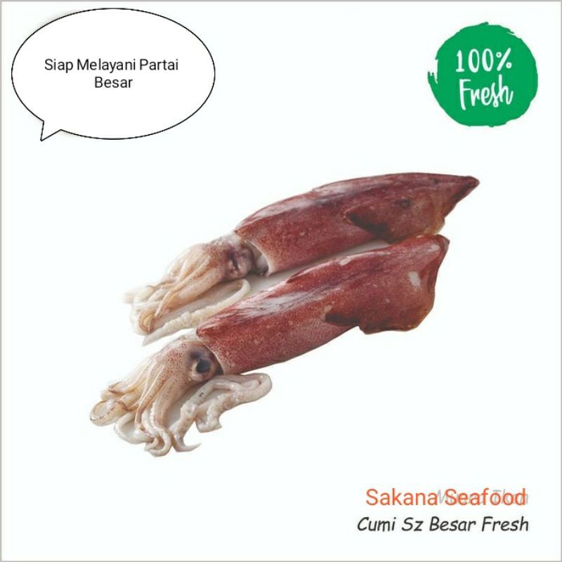 

Cumi Besar Segar 1kg