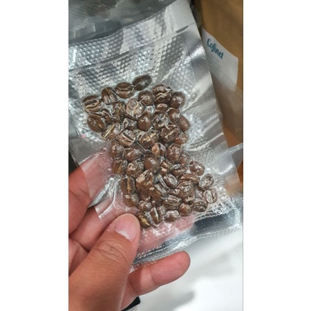 

Meron Kenya Kaindu AA / kopi saset / repack