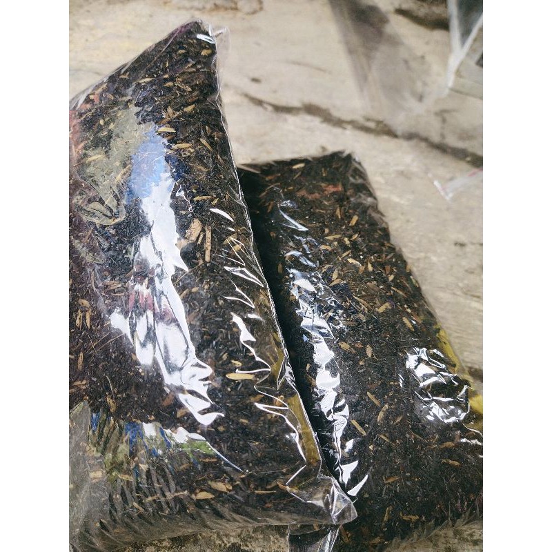 MEDIA TANAM KAKTUS SIAP PAKAI / 500gram