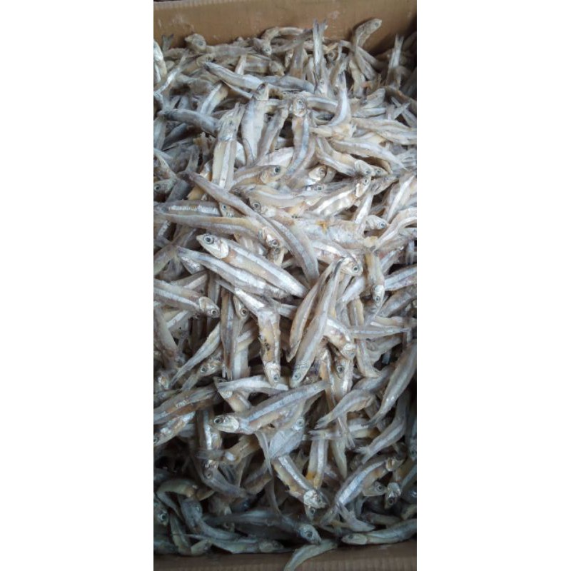 

teri asin jengki kering 1kg