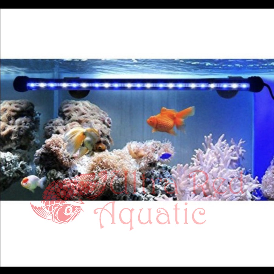 Lampu LED Celup Aquarium T4 50Cm, 60Cm Aquascape Tahan Air