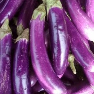

Terong ungu 500g (gosend)