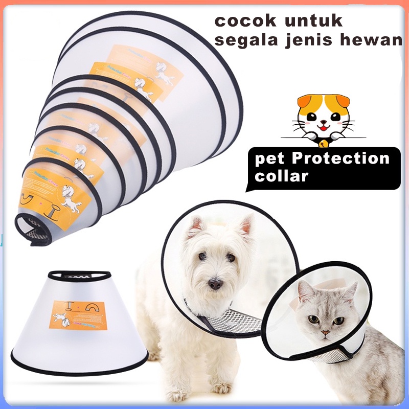 corong kucing pelindung leher anjing neck collar  corong anjing cone leher anjing collar kucing murah