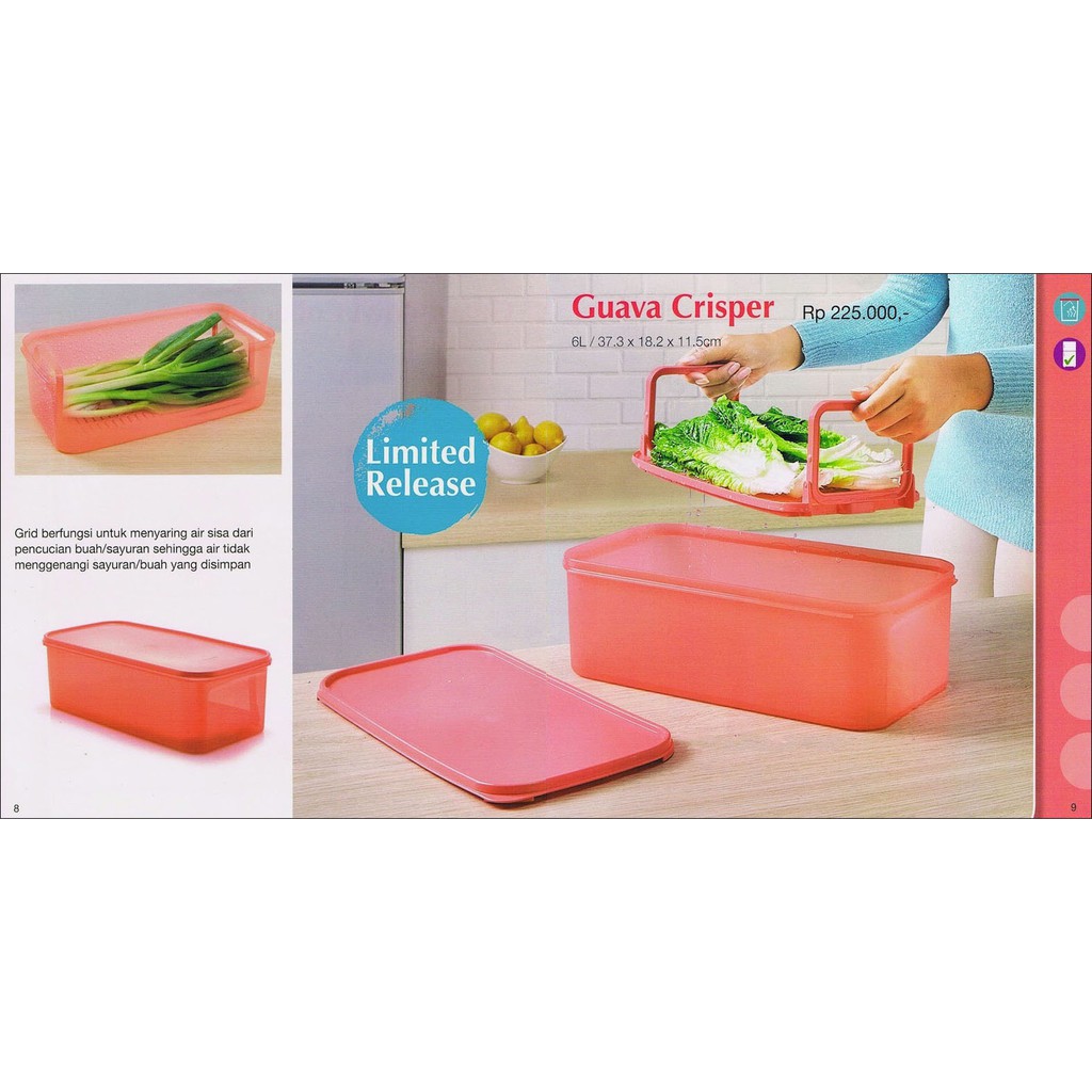 GUAVA CRISPER TUPPERWARE