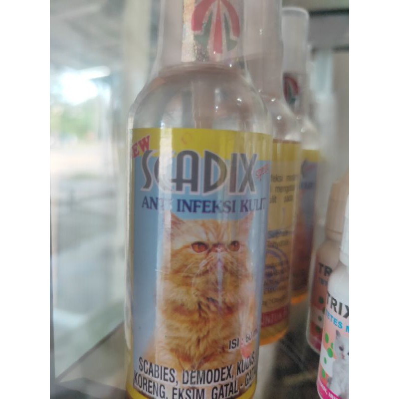 SCADIX Obat infeksi kulit hewan