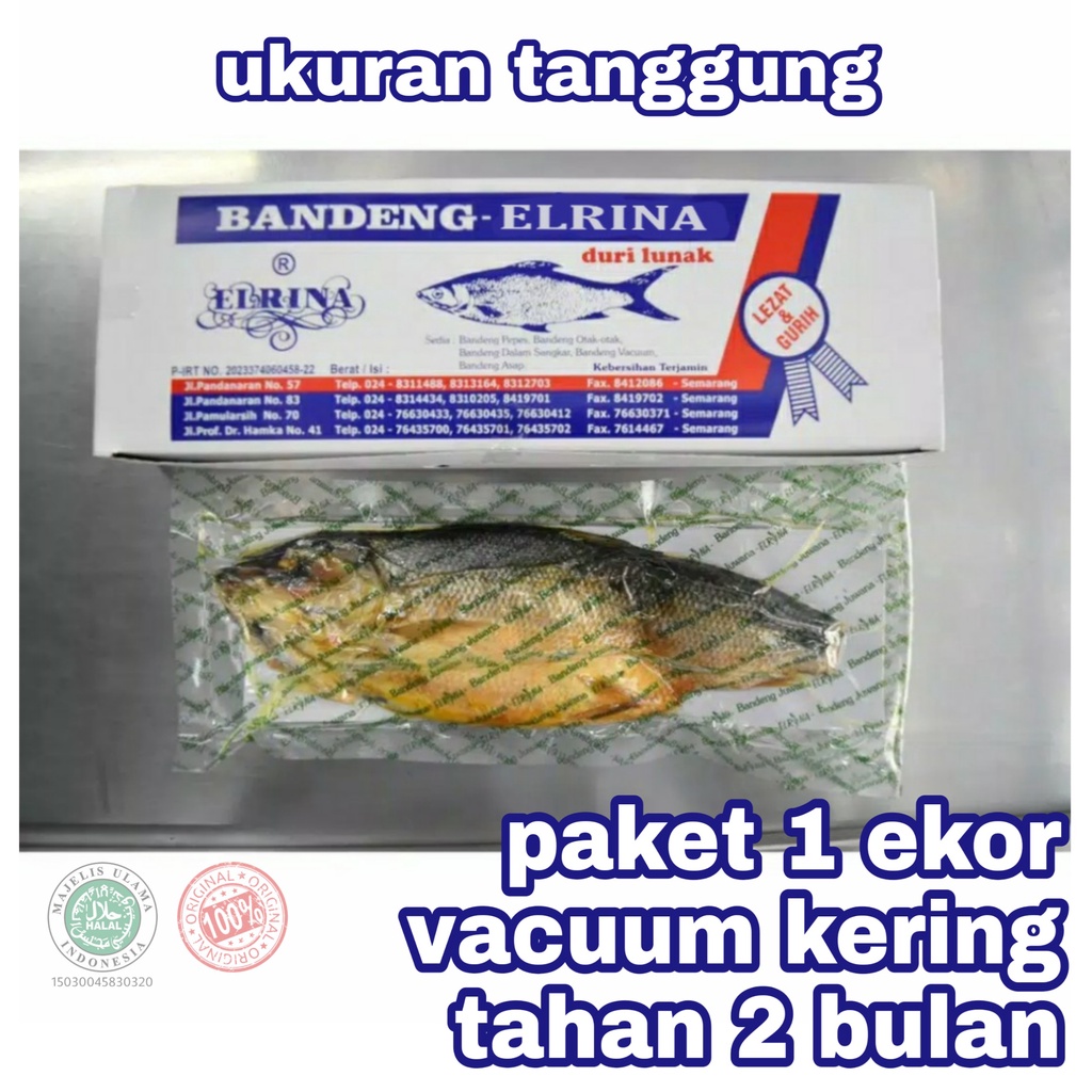 

Bandeng Presto Duri Lunak Vacum Kering Juwana Elrina Semarang 1 ekor ukuran tanggung