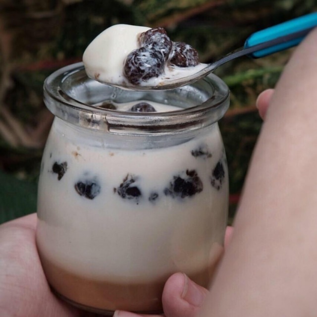 

TRF salted caramel bobba Panacotta