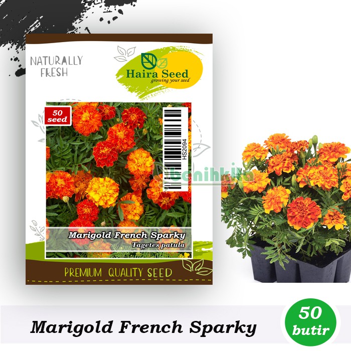 Benih-Bibit Bunga Marigold Sparky French (Haira Seed)