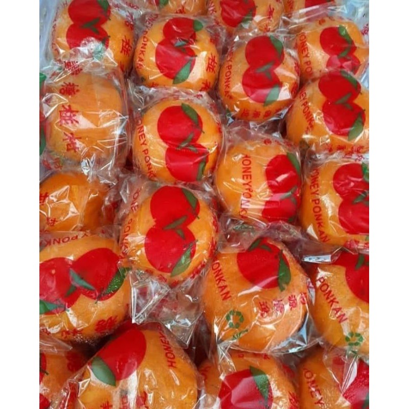 

jeruk honey ponkam HDL 1box[6kg]