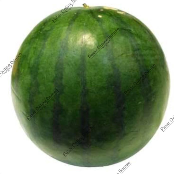 

Buah Segar Semangka Tanpa Biji Per Buah