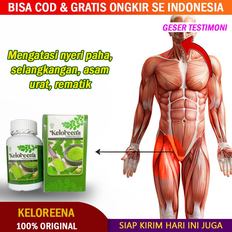 Herbal Keloreena Obat Sakit Pangkal Paha Selangkangan Nyeri Palangkakan Murah Berkualitas Shopee Indonesia