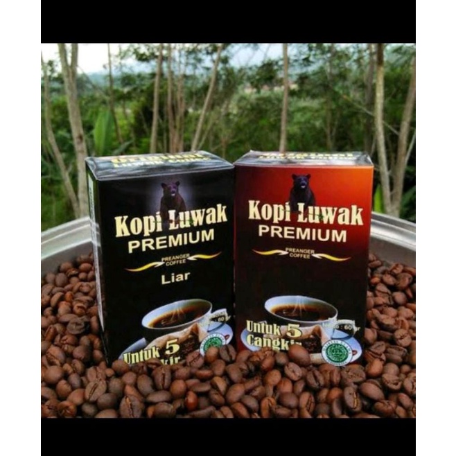 

kopi luwak original