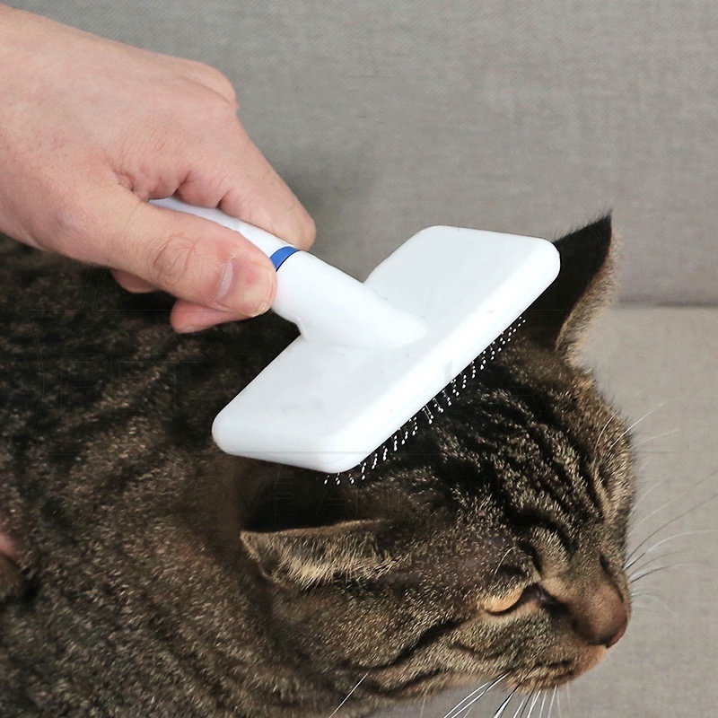 Sisir Kucing Sisir Sikat Slicker  kucing Bulu  bulu rontok Rambut Anjing Kucing Pet Brush Comb Grooming | Sisir Kucing Murah