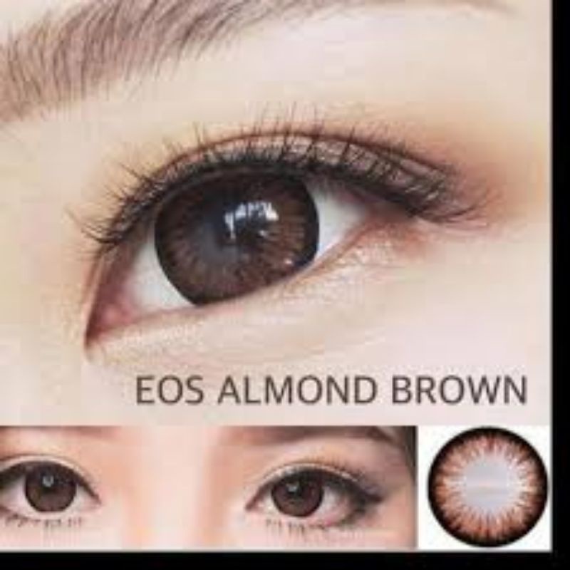 SOFTLENS FUZZY EOS ALMOND BROWN 14.5 MM