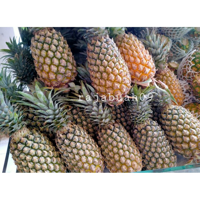 

Nanas Palembang Fresh 1 Buah