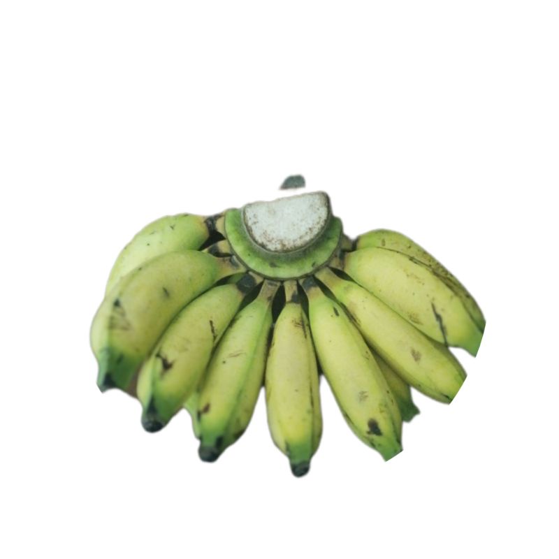 Pisang Uli 1 Sisir