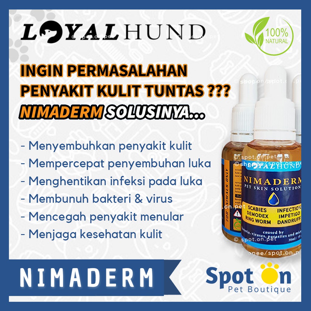 Obat Kulit Anjing &amp; Kucing Jamur, Gatal - Gatal, Luka | Nimaderm Herbal Premium | Scabies Infeksi