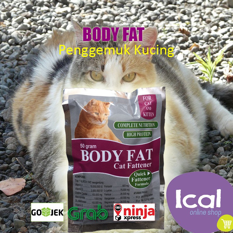 Vitamin Booster Penggemuk Kucing Terbaik Body Fat Shopee Indonesia