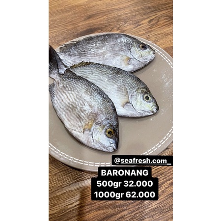 

BARONANG /SEAFRESH