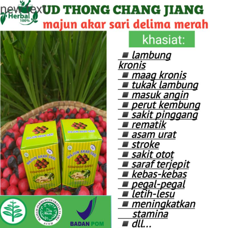 MAJUN AKAR SARI/Obat Maag &Asam Lambung Kronis/Obat Alami 100%/Pencernaan/obat Asam Lambung Ampuh/Herbal Rematik Ampuh/Herbal Kram Ampuh/Herbal Kesemutan Ampuh 100%/Herbal  Stroke Ampuh/Herbal Masuk Angin/Distributor-1
