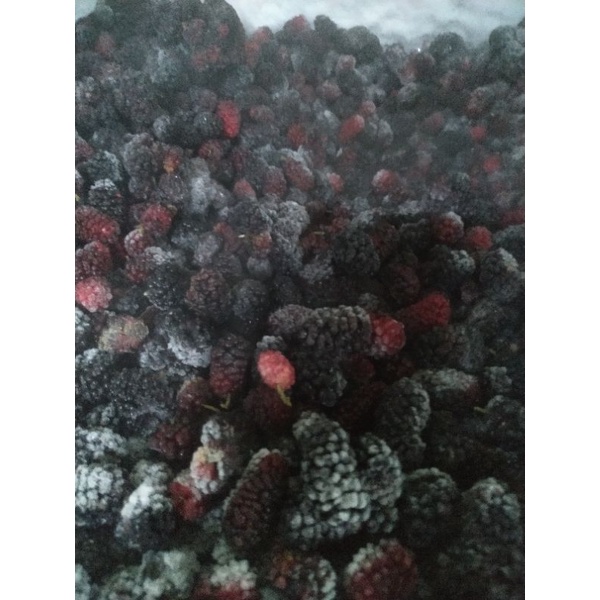 

buah blackberry beku/blackberry frozen 500gr
