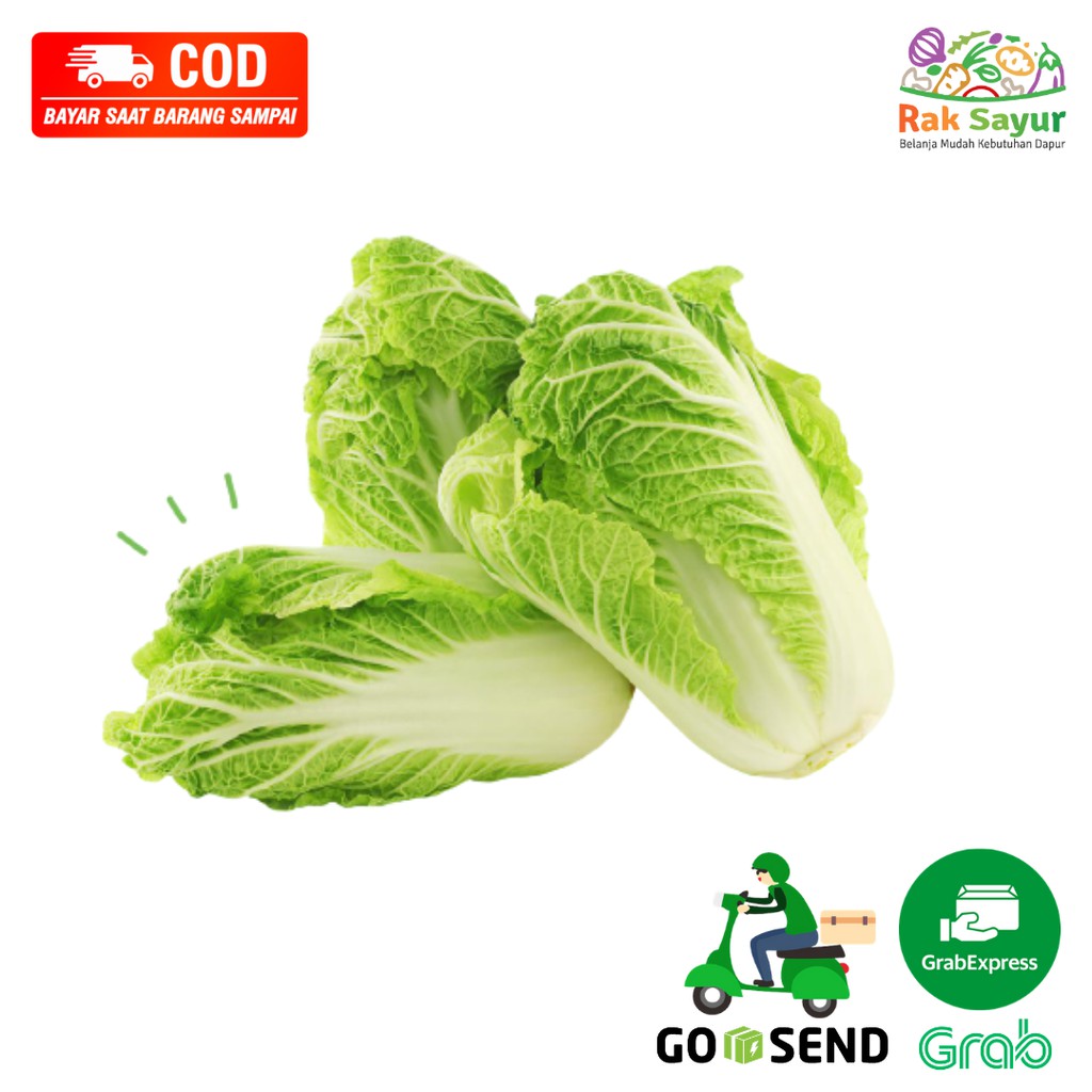 

Sayuran Segar Kimchi Rak Sayur Padang Fresh Sawi Putih Chinese Cabbage 1Kg Bumbu Dapur Masak Sehat