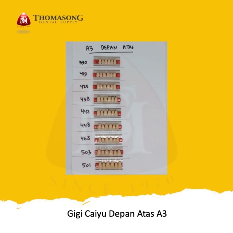 Gigi Palsu Caiyu Depan Atas A3