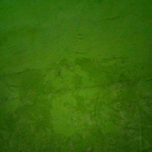 Parfum Essential Oil Waterbase 6 Aroma 3ml Untuk Diffuser Air Humidifier