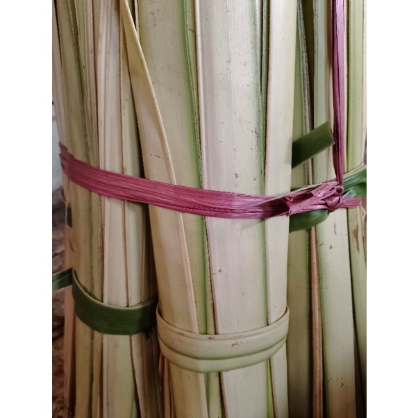 Janur Ketupat /Janur Kuning /Janur Kelapa /Daun Kelapa Muda