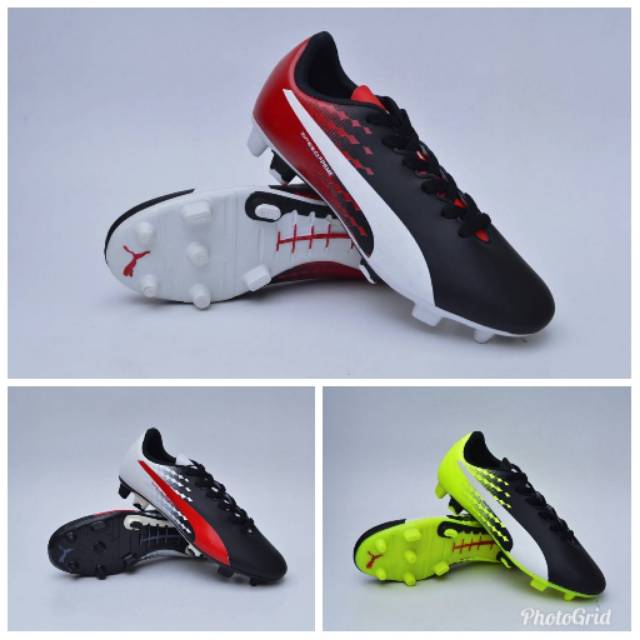 puma evospeed frame