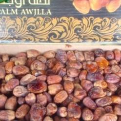 

VCR% Kurma Soidi Premium / Shoidi / Kurma Kering Basah / Original Grade A Palm Awjila Banyak Bonus
