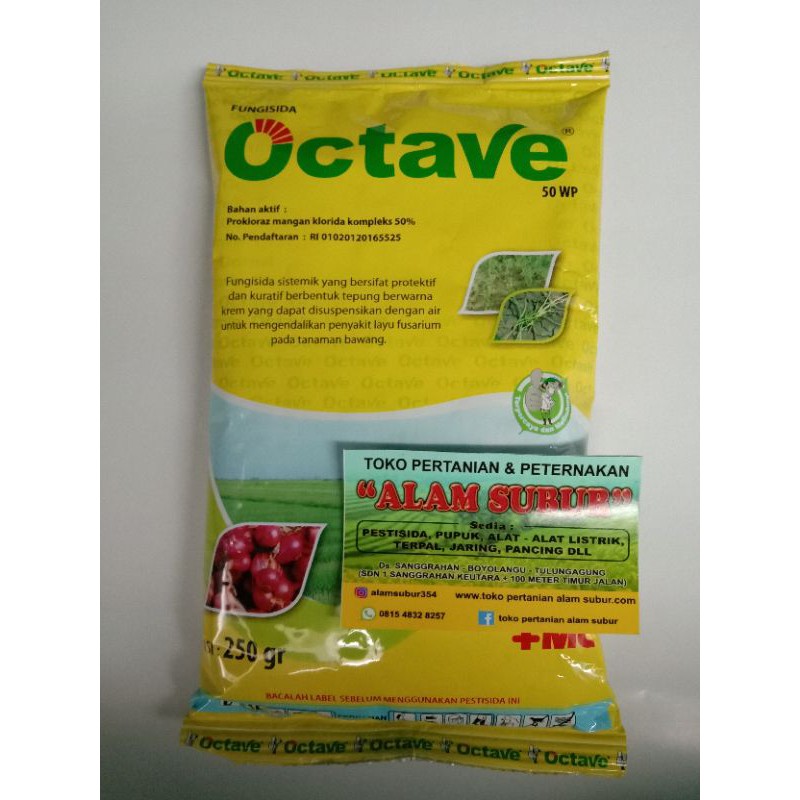 Octave 50 Wp (250 gr)